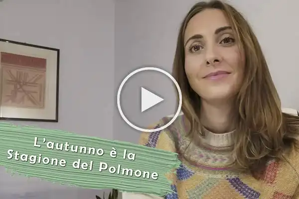 VideoBlog