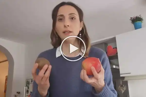 VideoBlog